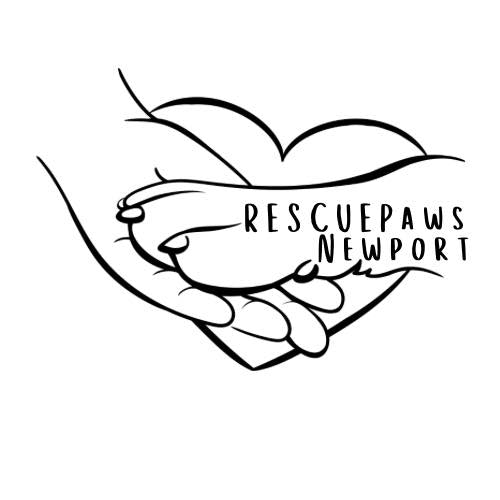 Rescue Paws Newport Wishlist