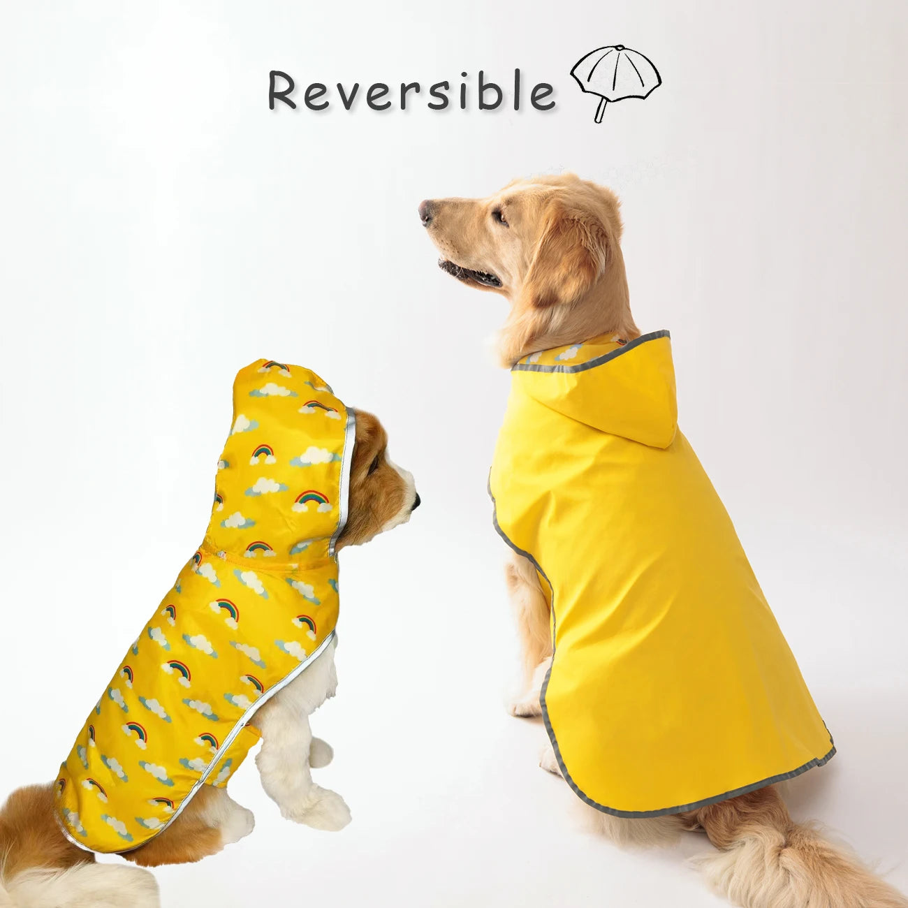 Double-Layer Raincoat