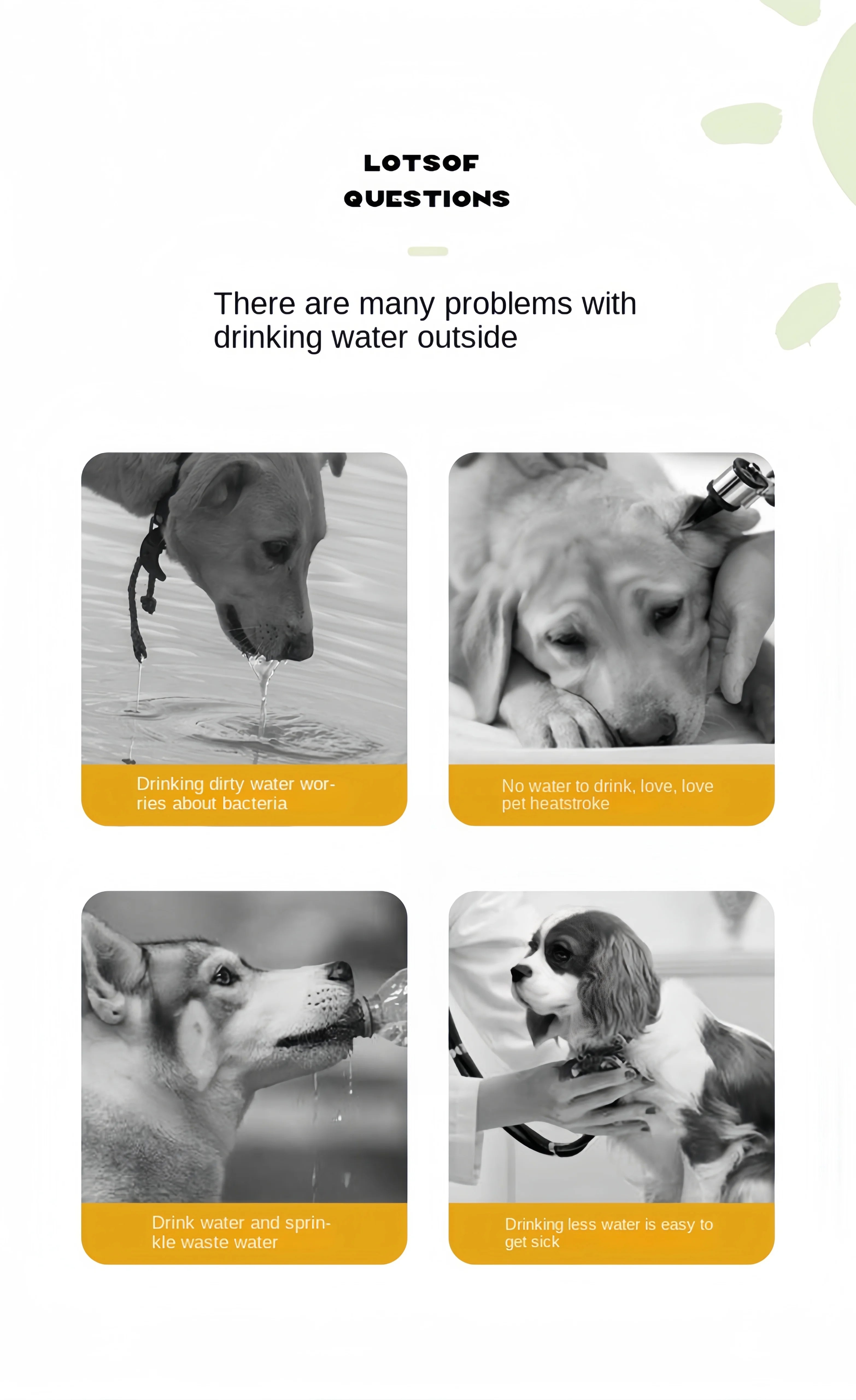 Dog Travel Water Bottle with Food Compartment