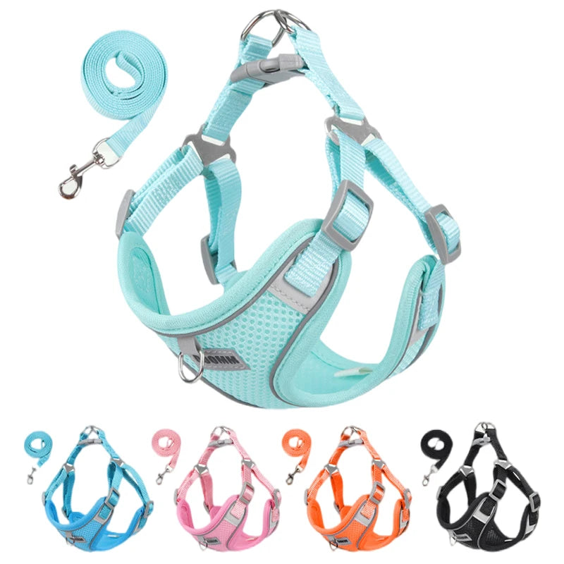Reflective Dog Harness & Leash Set