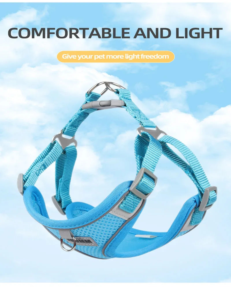 Reflective Dog Harness & Leash Set