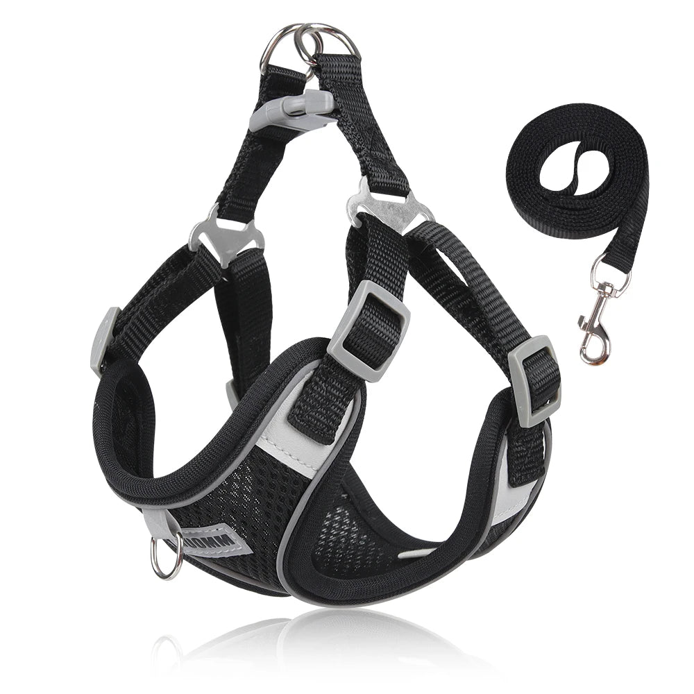 Reflective Dog Harness & Leash Set