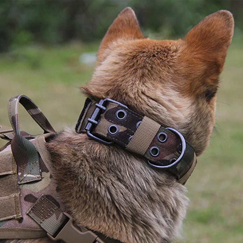 Pablo’s Pack Tactical Collar