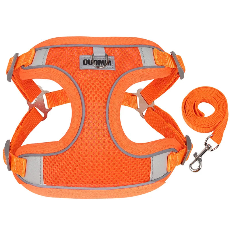 Reflective Dog Harness & Leash Set