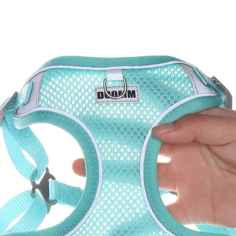 Reflective Dog Harness & Leash Set