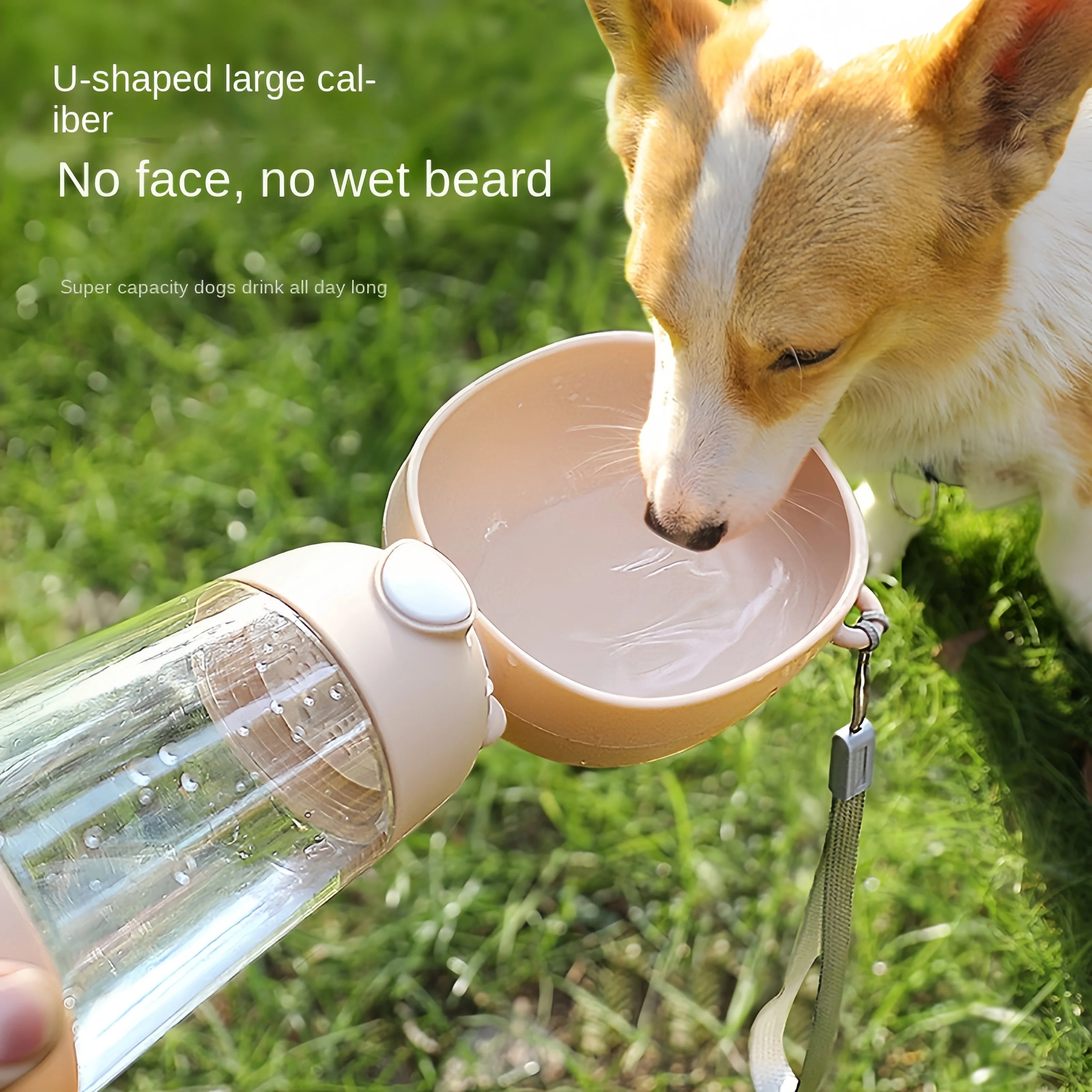 Leakproof Dog Water Bottle 550ml