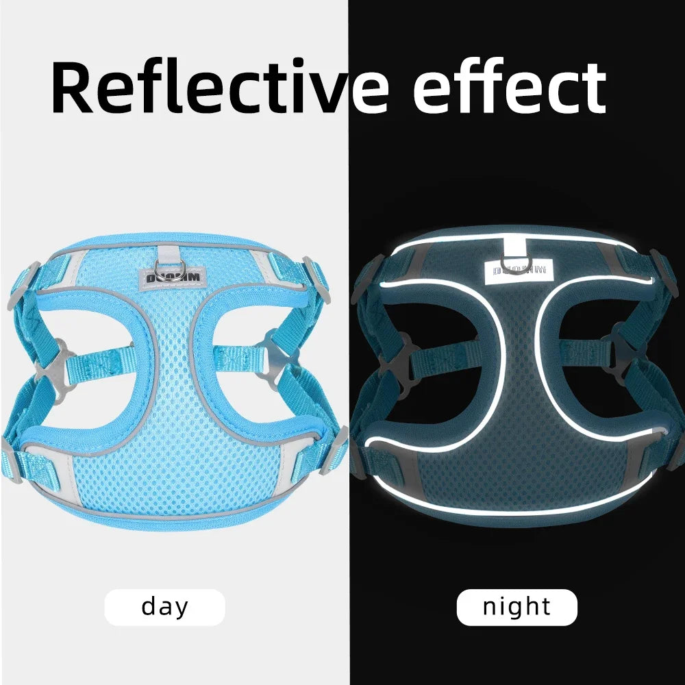 Reflective Dog Harness & Leash Set