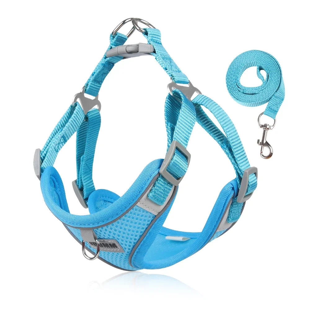 Reflective Dog Harness & Leash Set